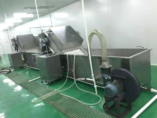 水果蔬菜鼓泡清洗機